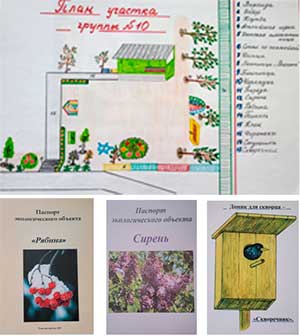 Экологический паспорт участка группы – средство воспитания экологической культуры у детей дошкольного возраста
