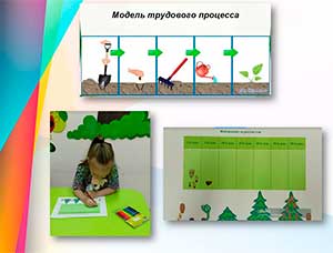 Исследовательский проект «Как вырастить ель из семечка».