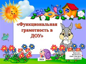 «Функциональная грамотность в ДОУ»