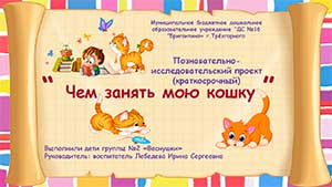 Познавательно — исследовательский проект «Чем занять мою кошку?»