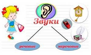 КОНСПЕКТ ИНДИВИДУАЛЬНОГО ЛОГОПЕДИЧЕСКОГО ЗАНЯТИЯ НА ТЕМУ: «Звуки, которые нас окружают».