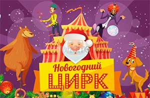 Новогодний сценарий «Новогодний Цирковой аттракцион»