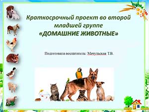 Проект «Домашние животные» во 2 младшей группе «Непоседы»