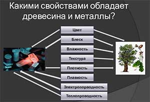 Конспект занятия по окружающему миру (средняя группа) «Изучение свойств дерева и металла»