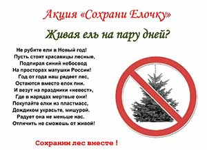 Проект «Сохраним ёлочку»