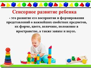 Особые чувства. Сенсорное развитие ребенка с ТМНР в условиях ресурсной группы ДОУ.