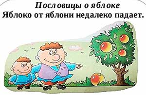 Конспект ООД по художественно — эстетическому развитию в младшей группе рисование «В пословицах мудрость народа» — Алма ағасынан алыҫ төшмәй — Яблоко от яблони далеко не падает (в рамках участия в мероприятиях, посвященных Дню башкирского языка)