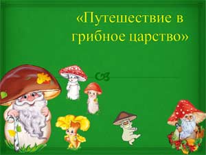 Виртуальная экскурсия по экологическому воспитанию в средней группе «Грибное царство»