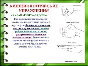 Кинезиологические упражнения в стихах.