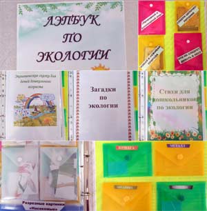 Лэпбук по экологии.