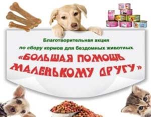 Статья «Волонтерство: Акция «Большая помощь маленькому другу»