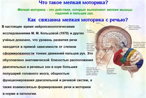 Развитие мелкой моторики рук, как фактор развития речи детей
