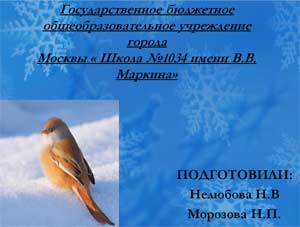 Помоги птицам перезимовать!
