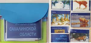 Методическая разработка по познавательному развитию для детей дошкольного возраста «Экологический лэпбук «Природа Сахалина»