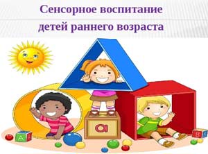 Особенности сенсорного развития детей младшего дошкольного возраста средствами дидактических игр