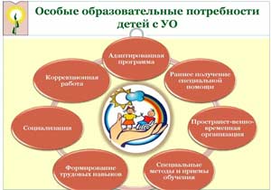 Структурная характеристика понятия «Особые образовательной потребности детей с ОВЗ»