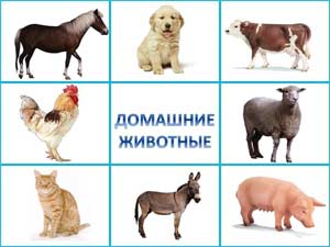 Картотека игр и упражнений по лексической теме «Домашние животные» (для детей -7 лет)