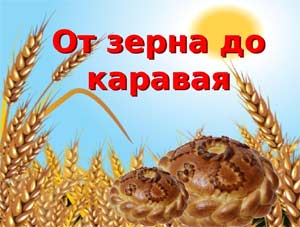 Конспект занятия по познавательно-исследовательской деятельности «От зернышка до каравая»