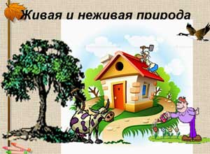 Окружающий мир Тема: Город и село