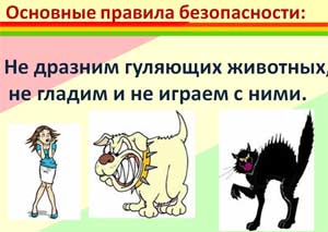 Конспект НОД в подготовительной к школе группе «Правила безопасности при контакте с бездомными животными»