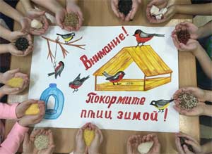 «Покормите птиц зимой»