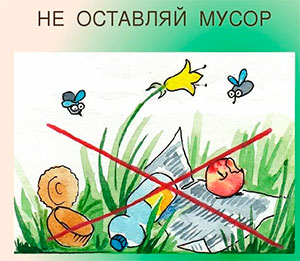 Конспект образовательной деятельности по безопасности «Лесной беспорядок»