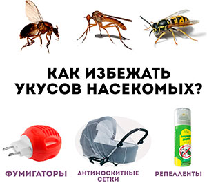 Консультация для родителей «Как избежать укусов насекомых»