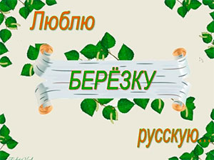 Конспект прогулки «В гости к берёзе» с детьми в средней группе