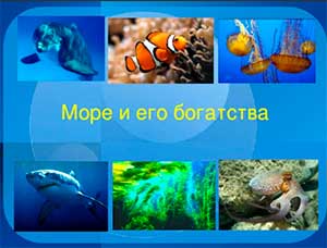 Конспект итогового занятия по познавательному развитию в подготовительной к школе группе «Море и его богатства».