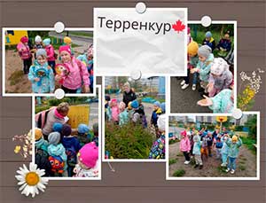 Терренкур «Осенние приключения на свежем воздухе»