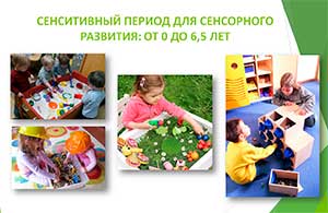 Семинар для педагогов ДОУ «Сенситивные периоды развития детей дошкольного возраста»