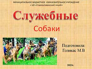 Интегрированное занятие в подготовительной к школе группе «Служебные собаки»