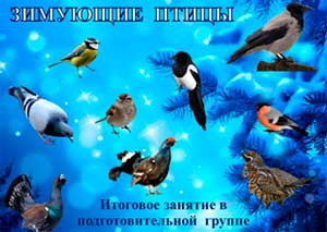 Конспект итоговой НОД в подготовительной к школе группе «Трудно птицам зимовать, надо птицам помогать».