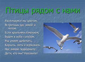 Презентация Птицы рядом с нами