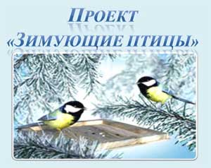 Проект «Зимующие птицы»