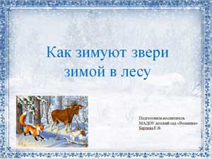 Презентация «Как зимуют звери зимой в лесу»