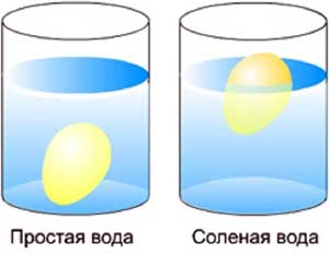 Непосредственно образовательная деятельность «Чудесное яйцо»