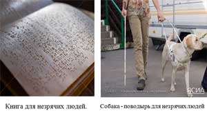 Культурная практика «ДЛЯ ЧЕГО НАМ ГЛАЗА»