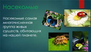 Конспект к конференции и презентации «Удивительный мир насекомых»