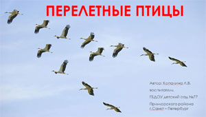 Презентация «Перелетные птицы»