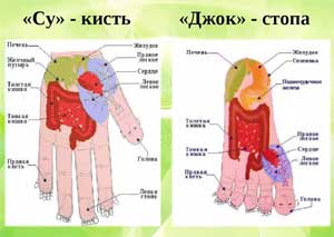 Су Джок – детям дружок