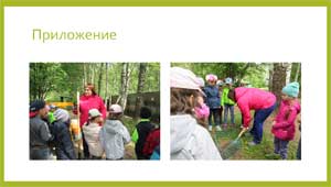 Экологический проект «Деревья нашего участка»