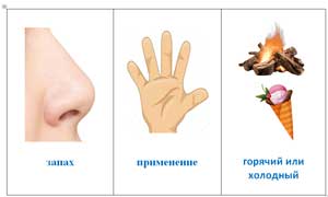Конспект НОД с элементами экспериментирования в средней группе «Магнит и его свойства».