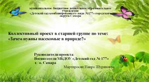 Коллективный проект в старшей группе по теме: «Зачем нужны насекомые в природе?»