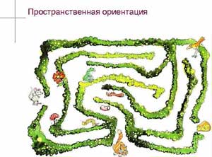 ФОРМИРОВАНИЕ НАВЫКОВ ПРОСТРАНСТВЕННОЙ ОРГИЕНТАЦИИ НА ЛИСТЕ БУМАГИ У РЕБЕНКА ШЕСТОГО ГОДА ЖИЗНИ