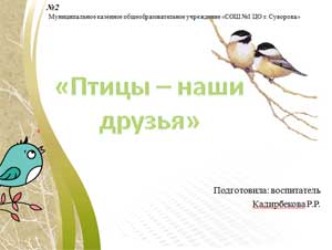 «Птицы – наши друзья»